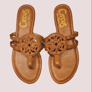 Circus by Sam Edelman Canyon Thong Sandal